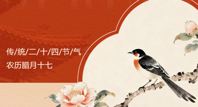 立春养生指南｜唤醒身体的好时节，从一口好油开始